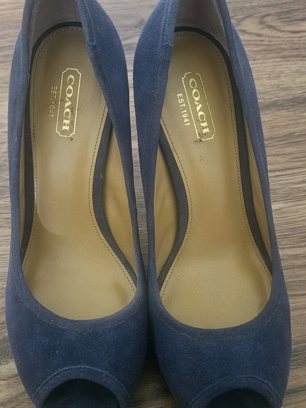 Coach Navy Suede Peep-Toe Platform Pumps